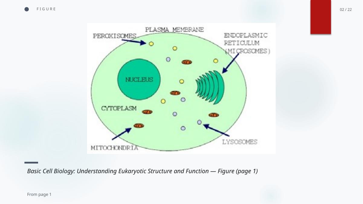 Slide 3 generated by PD2PPT from the Basic Cell Biology PDF