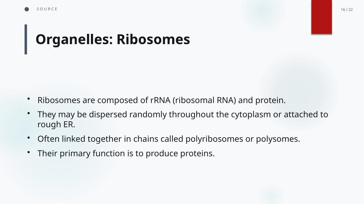 Slide 5 generated by PD2PPT from the Basic Cell Biology PDF